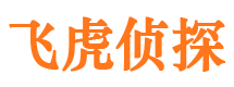 东宝侦探公司